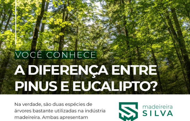 Eucaliptos e Pinus diferença