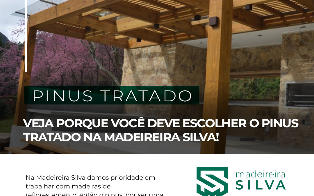 Pinus tratado madeireira silva