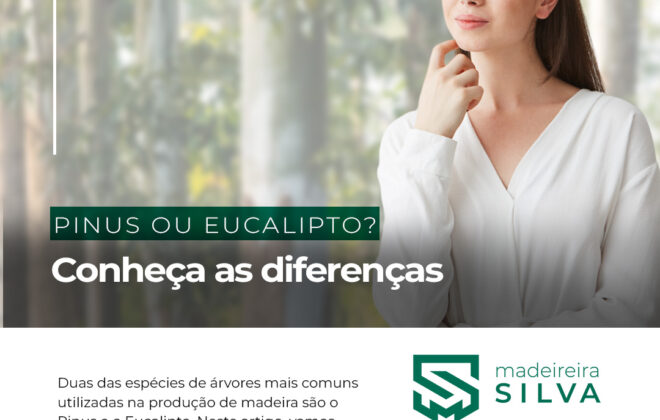 diferenças pinus e eucalipto