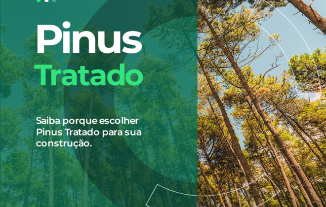 Pinus Tratado para construção